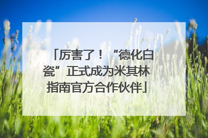 厉害了！“德化白瓷”正式成为米其林指南官方合作伙伴