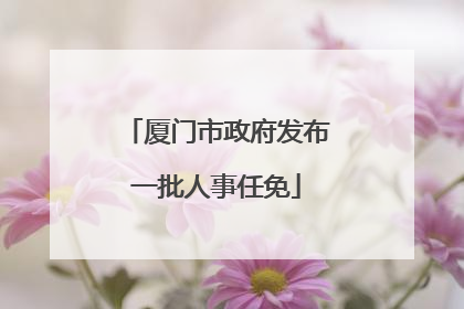 厦门市政府发布一批人事任免