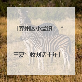 兖州区小孟镇：“三夏”收割话丰年