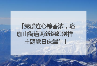 党群连心粽香浓，珞珈山街道两新组织别样主题党日庆端午