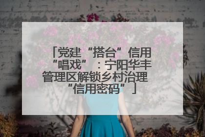 党建“搭台”信用“唱戏”：宁阳华丰管理区解锁乡村治理“信用密码”