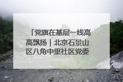 党旗在基层一线高高飘扬｜北京石景山区八角中里社区党委：用脚步丈量民生