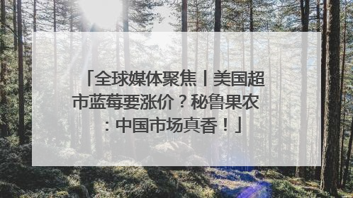 全球媒体聚焦丨美国超市蓝莓要涨价？秘鲁果农：中国市场真香！