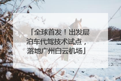全球首发！出发层泊车代驾技术试点，落地广州白云机场