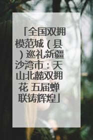 全国双拥模范城（县）巡礼新疆沙湾市：天山北麓双拥花 五届蝉联铸辉煌