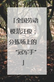 全国劳动模范汪俊：分拣场上的“冠军手”