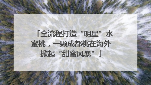 全流程打造“明星”水蜜桃，一颗成都桃在海外掀起“甜蜜风暴”