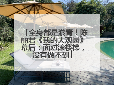 全身都是淤青！陈丽君《我的大观园》幕后：面对滚楼梯，没有做不到