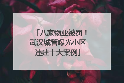八家物业被罚！武汉城管曝光小区违建十大案例