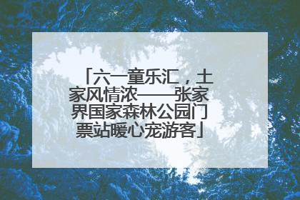 六一童乐汇，土家风情浓——张家界国家森林公园门票站暖心宠游客