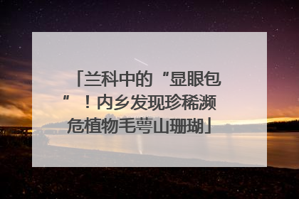 兰科中的“显眼包”！内乡发现珍稀濒危植物毛萼山珊瑚
