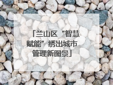 兰山区“智慧赋能”绣出城市管理新图景