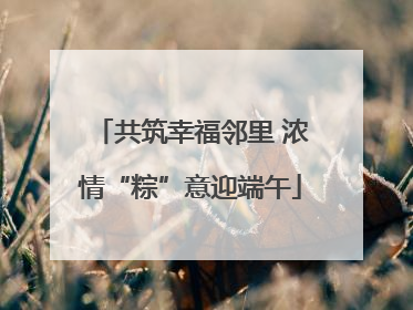 共筑幸福邻里 浓情“粽”意迎端午
