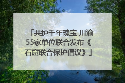 共护千年瑰宝 川渝55家单位联合发布《石窟联合保护倡议》