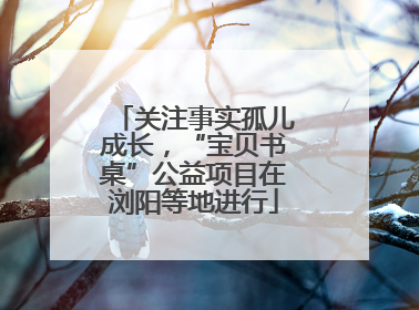 关注事实孤儿成长，“宝贝书桌”公益项目在浏阳等地进行