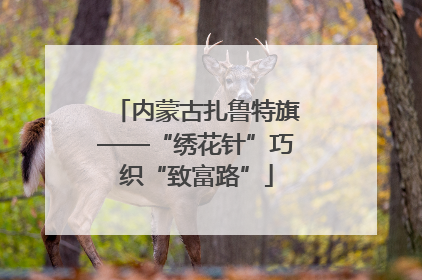 内蒙古扎鲁特旗——“绣花针”巧织“致富路”
