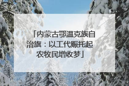 内蒙古鄂温克族自治旗：以工代赈托起农牧民增收梦