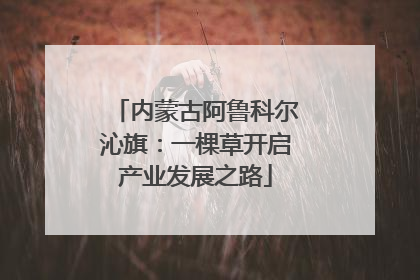 内蒙古阿鲁科尔沁旗：一棵草开启产业发展之路