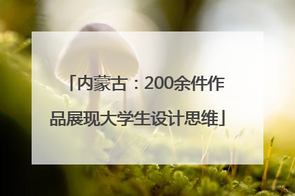内蒙古：200余件作品展现大学生设计思维