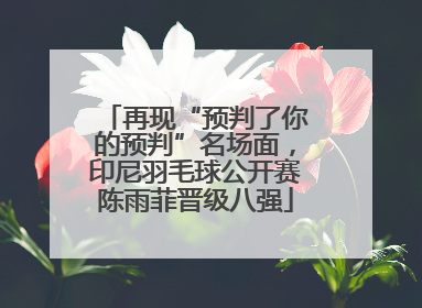 再现“预判了你的预判”名场面，印尼羽毛球公开赛陈雨菲晋级八强