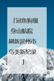 冠鱼狗现身山航院 刷新滨州市鸟类新纪录