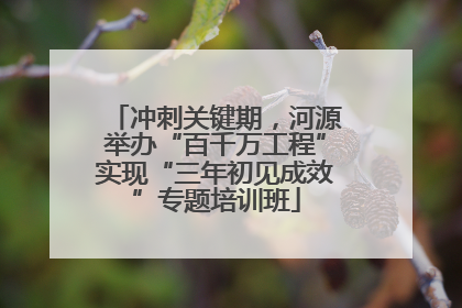 冲刺关键期，河源举办“百千万工程”实现“三年初见成效”专题培训班