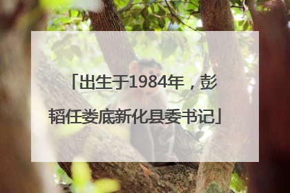 出生于1984年，彭韬任娄底新化县委书记