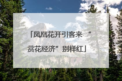 凤凰花开引客来 “赏花经济”别样红