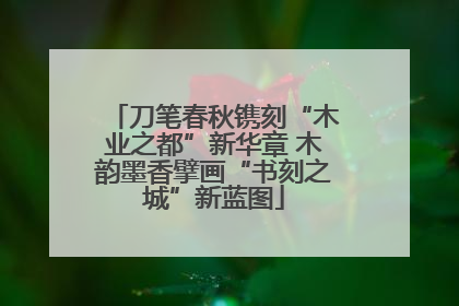 刀笔春秋镌刻“木业之都”新华章 木韵墨香擘画“书刻之城”新蓝图