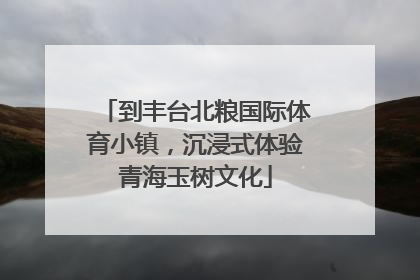 到丰台北粮国际体育小镇，沉浸式体验青海玉树文化