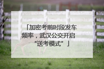 加密考前时段发车频率，武汉公交开启“送考模式”