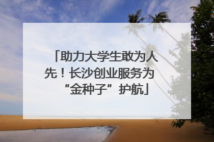 助力大学生敢为人先！长沙创业服务为“金种子”护航