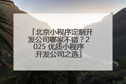 北京小程序定制开发公司哪家不错？2025 优质小程序开发公司之选