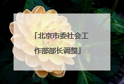 北京市委社会工作部部长调整