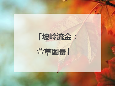 坡岭流金：萱草图景