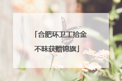 合肥环卫工拾金不昧获赠锦旗