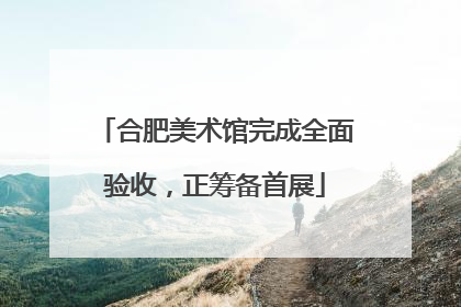 合肥美术馆完成全面验收，正筹备首展