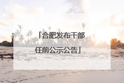 合肥发布干部任前公示公告