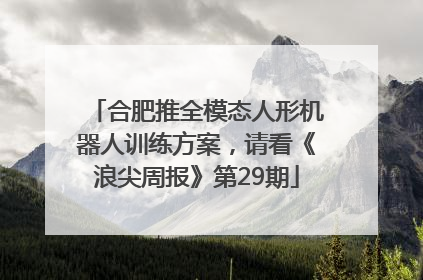 合肥推全模态人形机器人训练方案，请看《浪尖周报》第29期