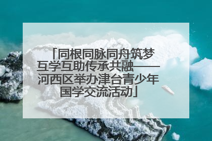 同根同脉同舟筑梦 互学互助传承共融——河西区举办津台青少年国学交流活动