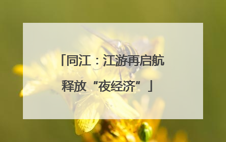 同江：江游再启航 释放“夜经济”
