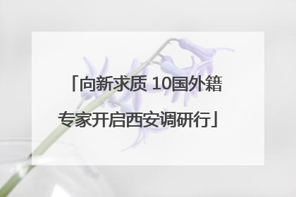向新求质 10国外籍专家开启西安调研行