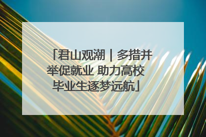 君山观潮｜多措并举促就业 助力高校毕业生逐梦远航