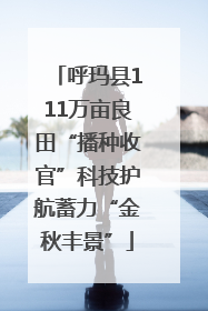 呼玛县111万亩良田“播种收官”科技护航蓄力“金秋丰景”