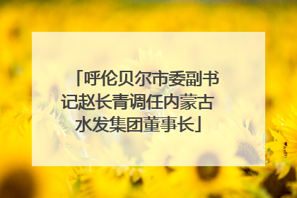 呼伦贝尔市委副书记赵长青调任内蒙古水发集团董事长