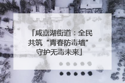 咸嘉湖街道：全民共筑“青春防毒墙” 守护无毒未来