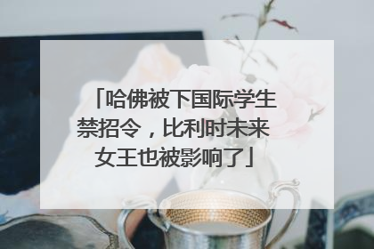 哈佛被下国际学生禁招令，比利时未来女王也被影响了