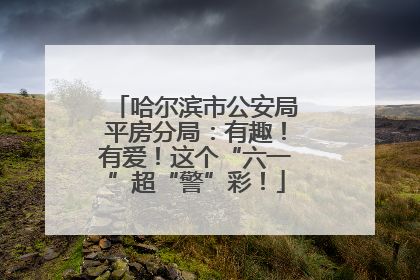哈尔滨市公安局平房分局：有趣！有爱！这个“六一”超“警”彩！