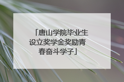 唐山学院毕业生设立奖学金奖励青春奋斗学子