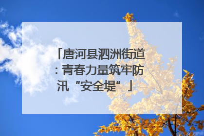 唐河县泗洲街道：青春力量筑牢防汛“安全堤”